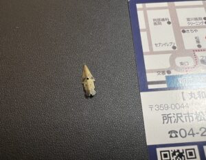万年筆 ペン先(K18,18金)をお買取！価格の相場は？